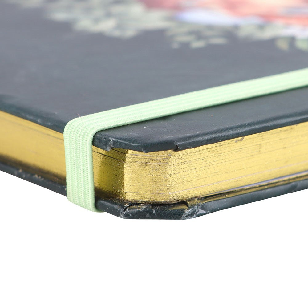 Close-up of a book with a green elastic band and gold edges on a white background